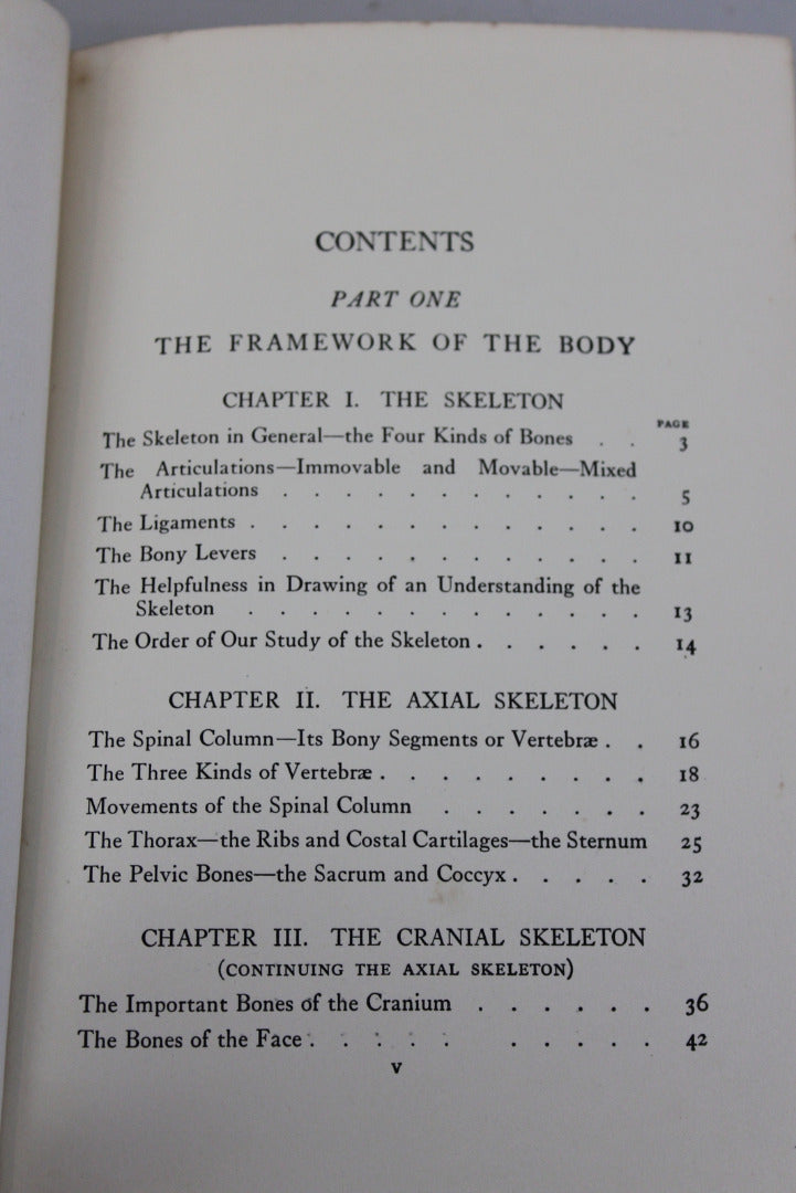 Practical Art Anatomy E G Lutz - Kernow Furniture