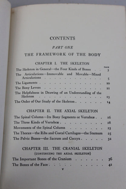 Practical Art Anatomy E G Lutz - Kernow Furniture