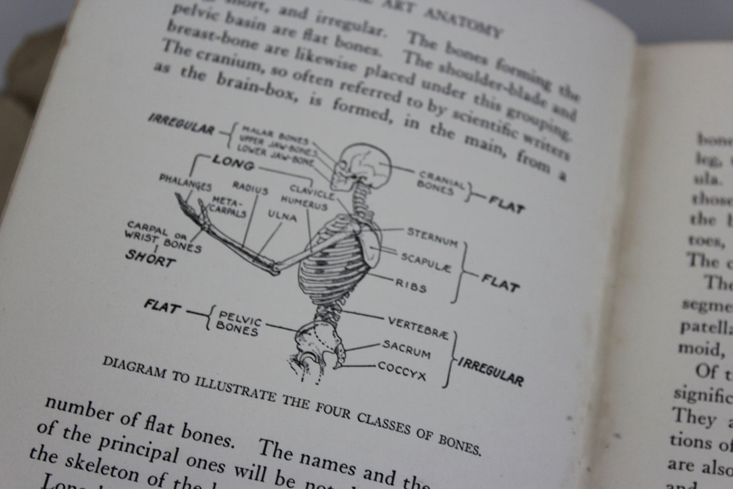 Practical Art Anatomy E G Lutz - Kernow Furniture