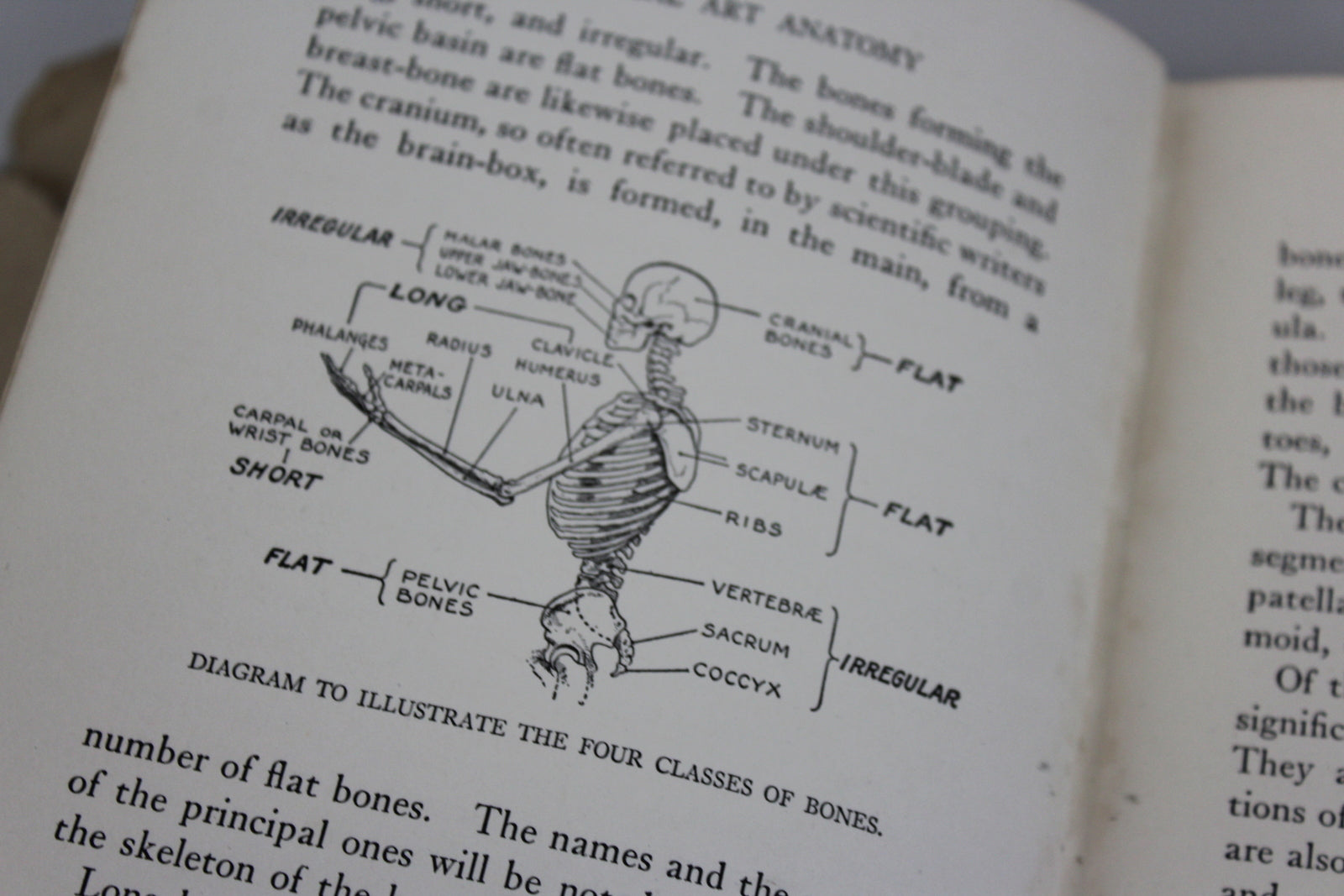 Practical Art Anatomy E G Lutz - Kernow Furniture