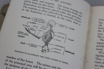 Practical Art Anatomy E G Lutz - Kernow Furniture