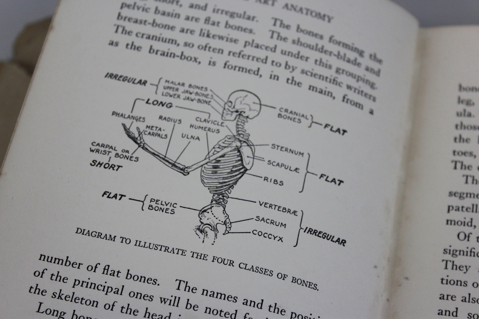 Practical Art Anatomy E G Lutz - Kernow Furniture