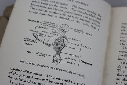 Practical Art Anatomy E G Lutz - Kernow Furniture