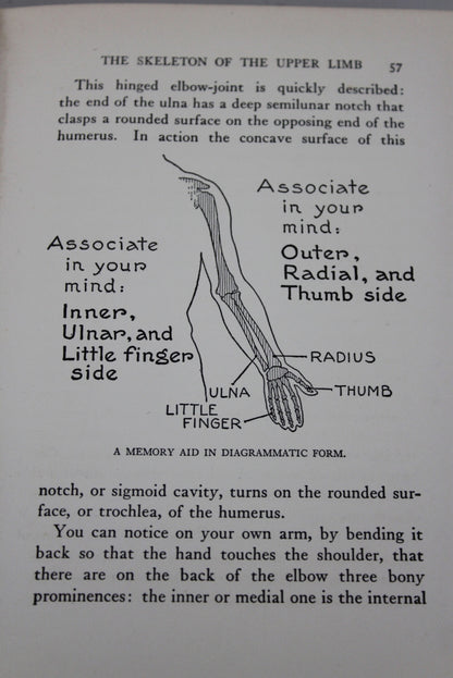 Practical Art Anatomy E G Lutz - Kernow Furniture