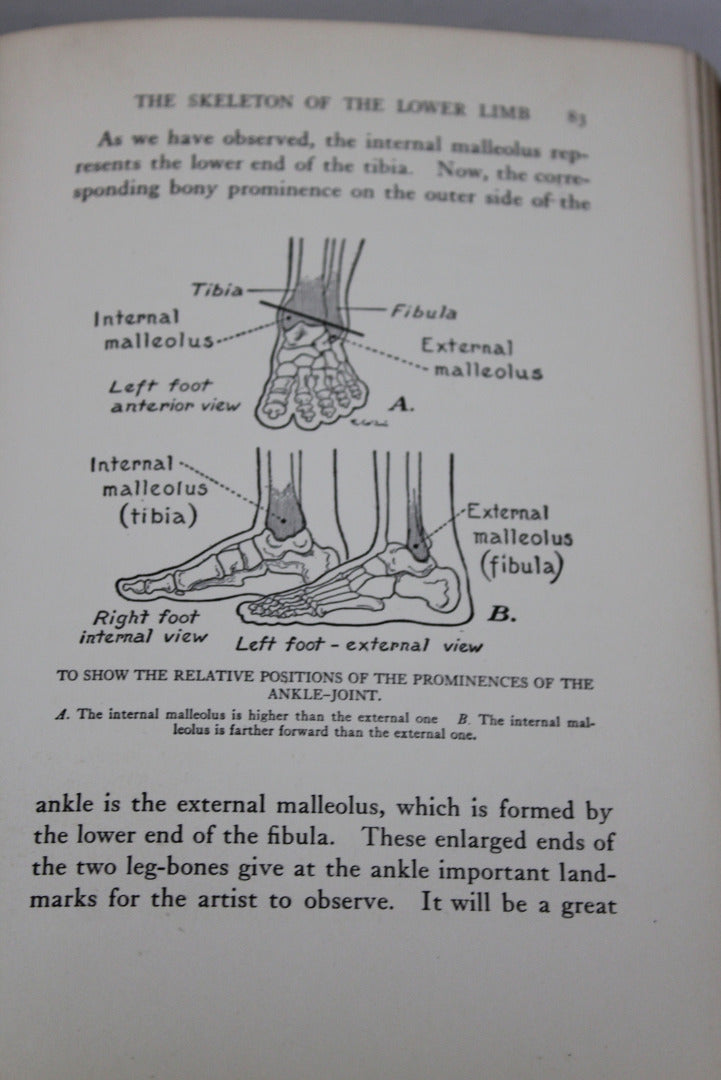 Practical Art Anatomy E G Lutz - Kernow Furniture