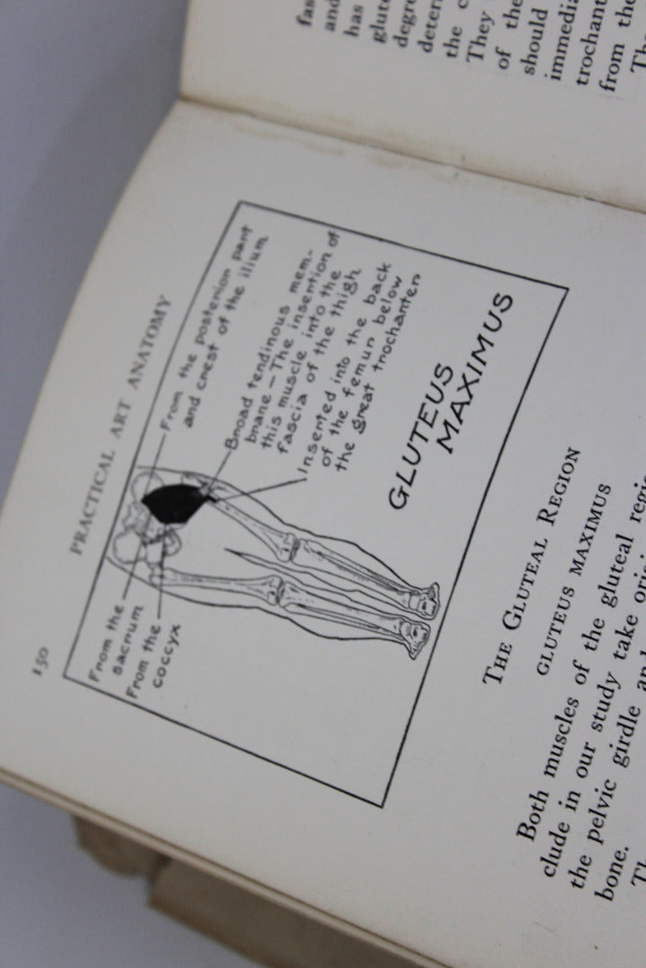 Practical Art Anatomy E G Lutz - Kernow Furniture