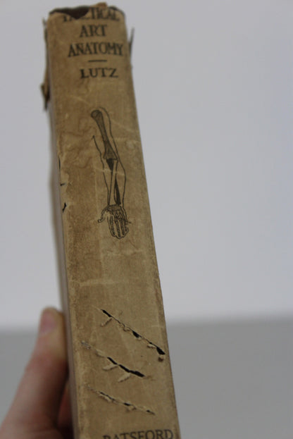 Practical Art Anatomy E G Lutz - Kernow Furniture
