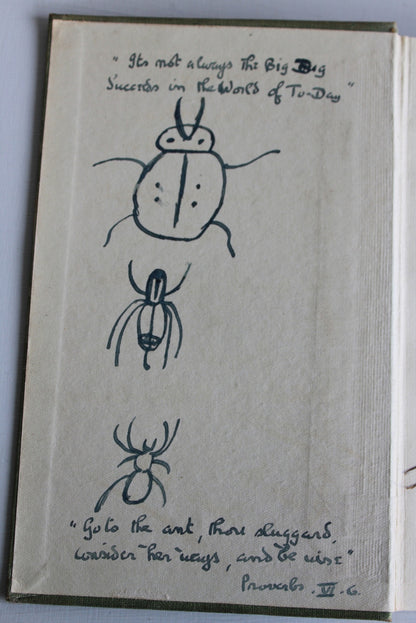 British Insects & How To Know Them - Harold Bastin - Kernow Furniture
