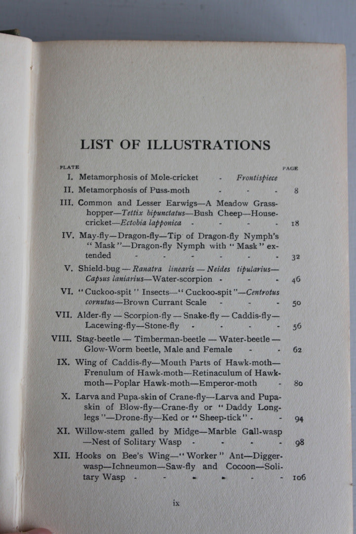 British Insects & How To Know Them - Harold Bastin - Kernow Furniture