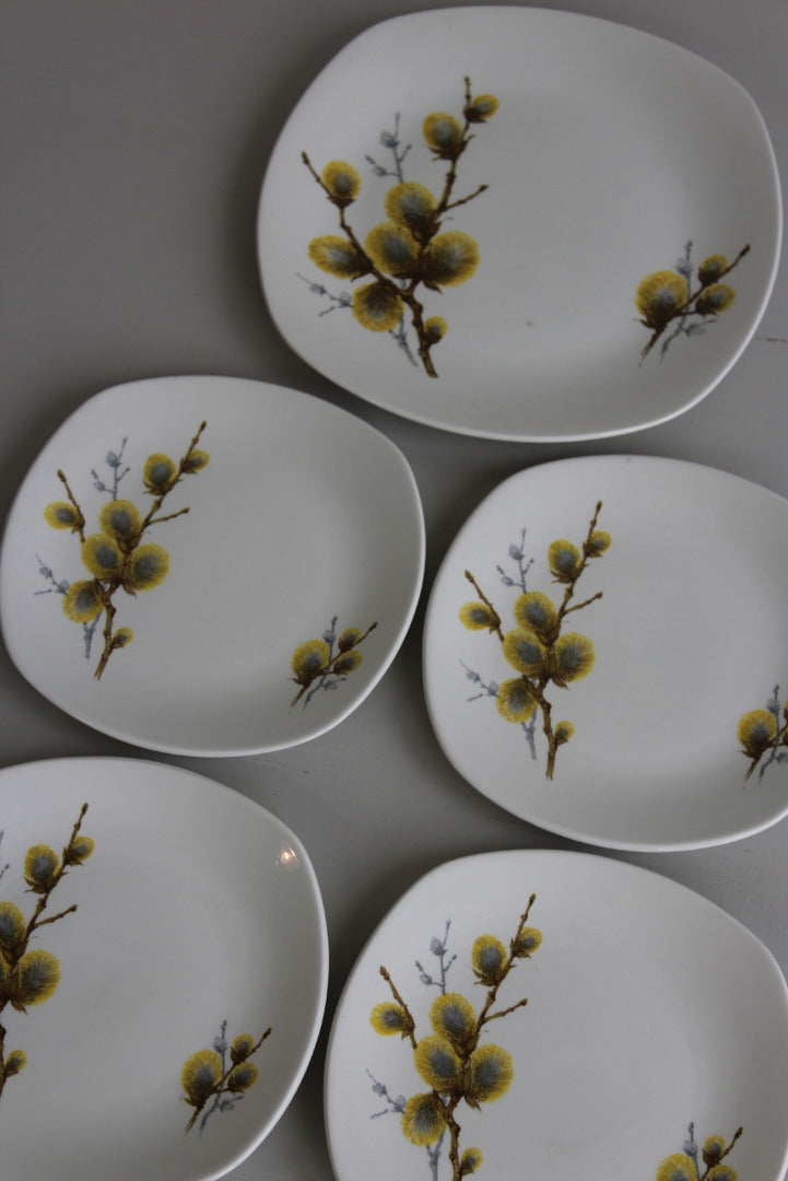 Retro Midwinter Pussy Willow Plates - Kernow Furniture