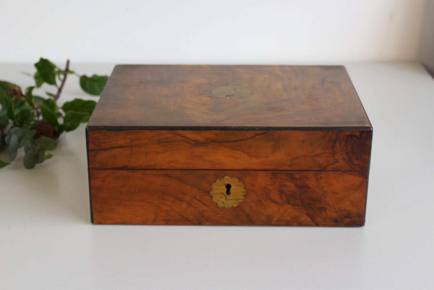 Antique Walnut Work Box - Kernow Furniture