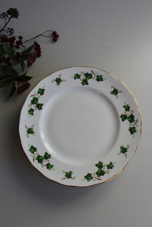 Vintage Colclough Ivy Dinner Plate - Kernow Furniture