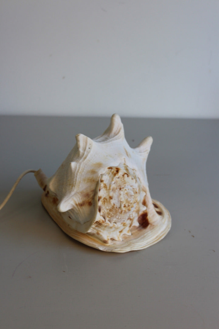 Vintage Conch Shell Lamp - Kernow Furniture