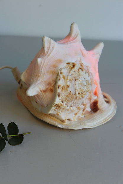 Vintage Conch Shell Lamp - Kernow Furniture