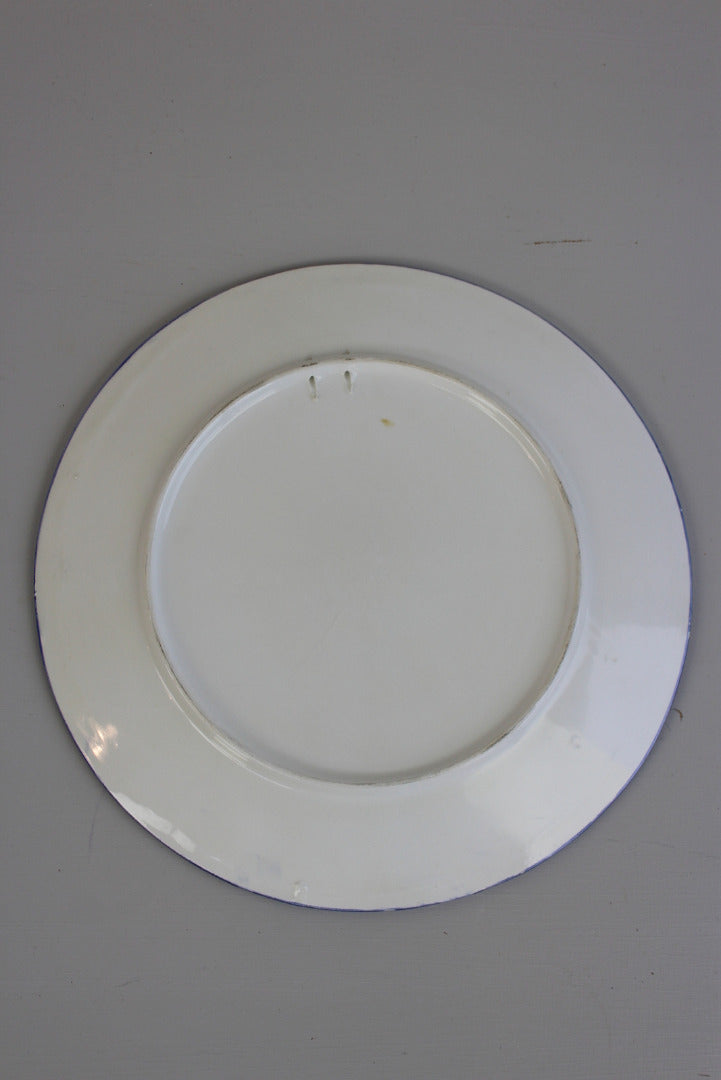 Large Decorative Plate - Kernow Furniture