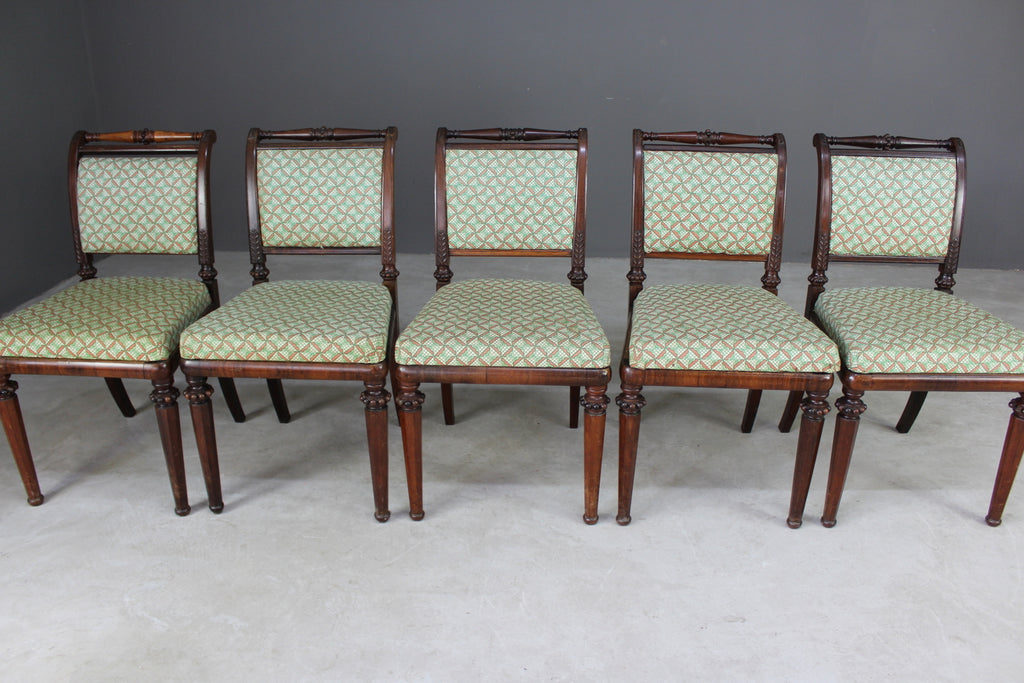 Antique Early 19th Century Rosewood Dining Chairs - Kernow Furniture