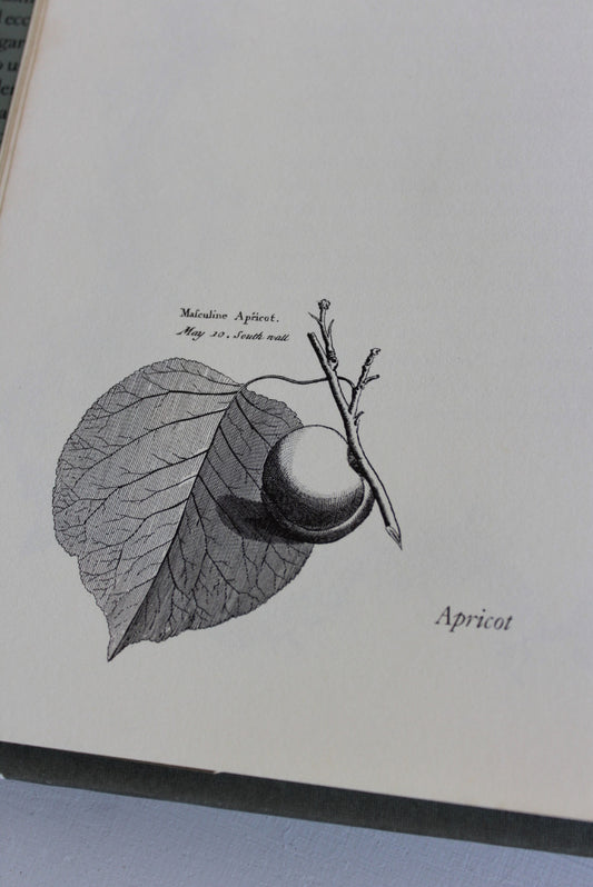 A Garden Alphabet - John Harris - Kernow Furniture