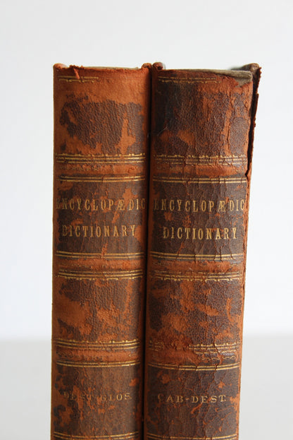 LLoyds Encyclopedic Dictionary - Kernow Furniture