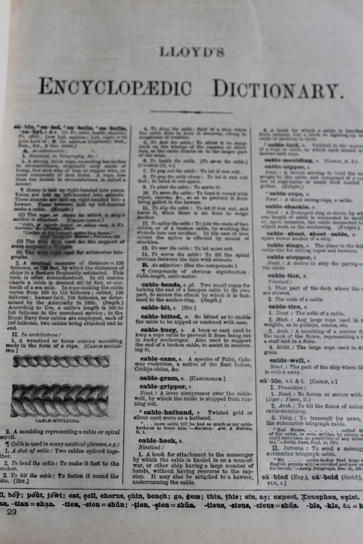 LLoyds Encyclopedic Dictionary - Kernow Furniture