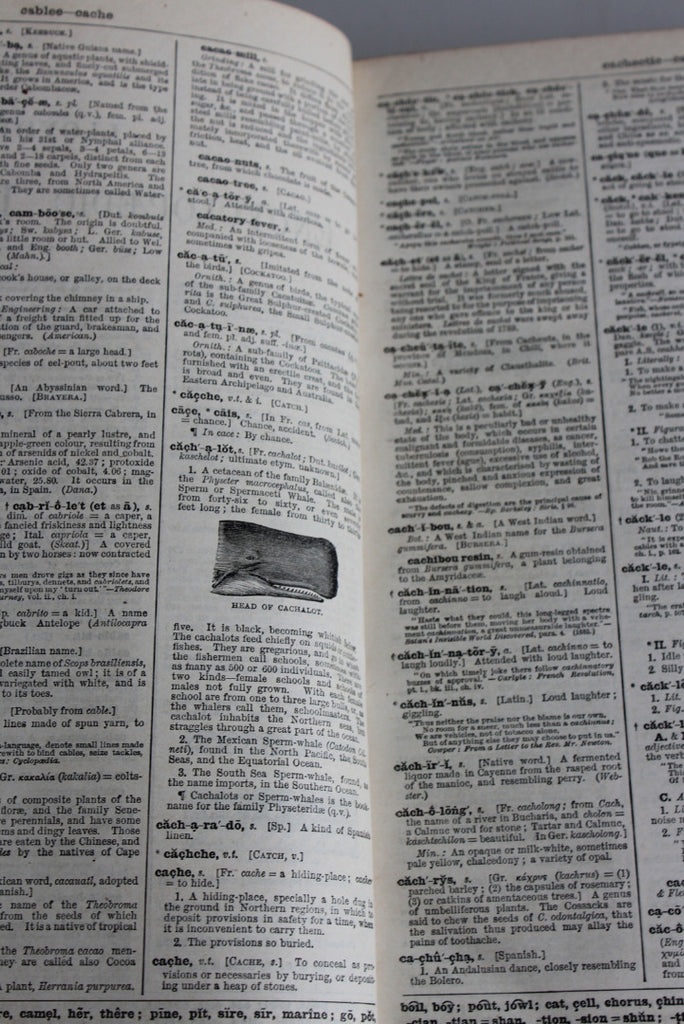 LLoyds Encyclopedic Dictionary - Kernow Furniture