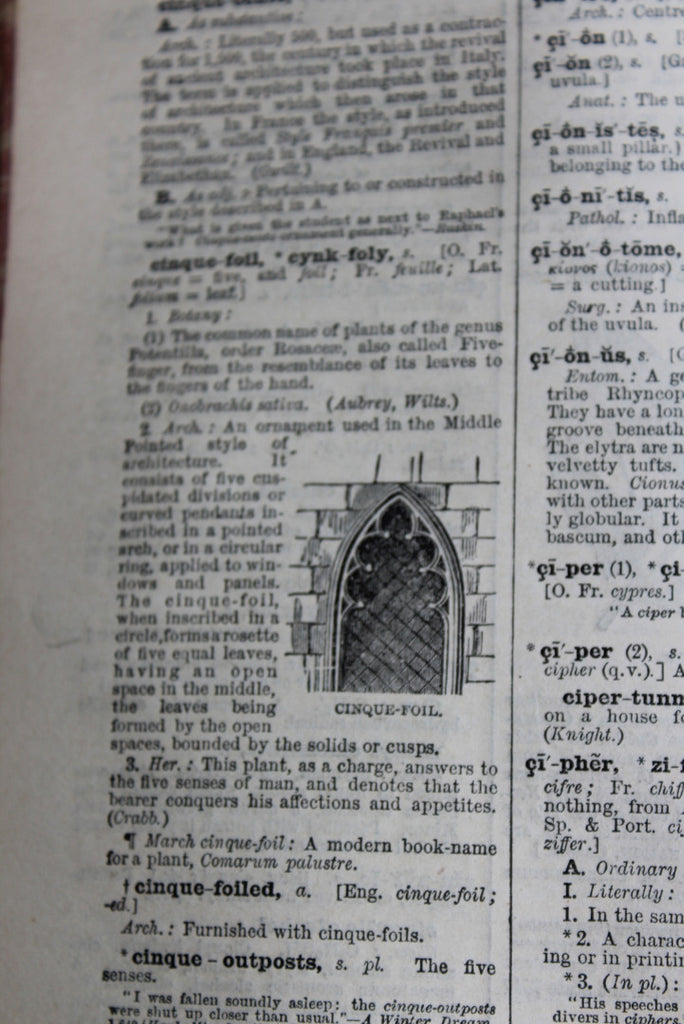 LLoyds Encyclopedic Dictionary - Kernow Furniture
