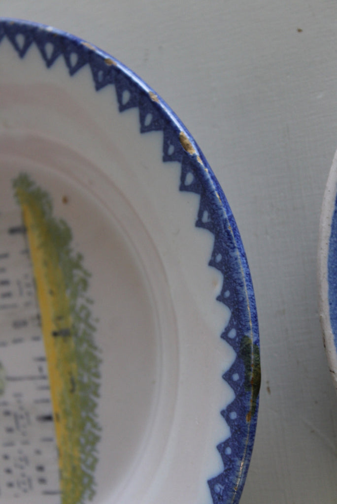 French Faience Plates - Kernow Furniture