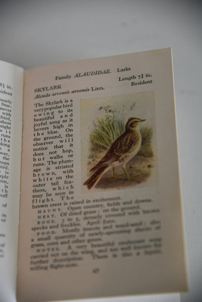 Vintage The Observers Bird Book - Kernow Furniture