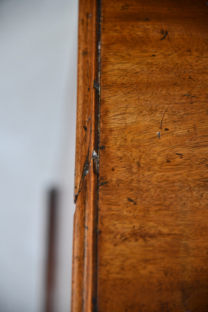 Antique 19th Century Mahogany Tambour Chest Cupboard