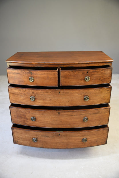 Antique Mahogany Bow Front Chest of Drawers - Kernow Furniture