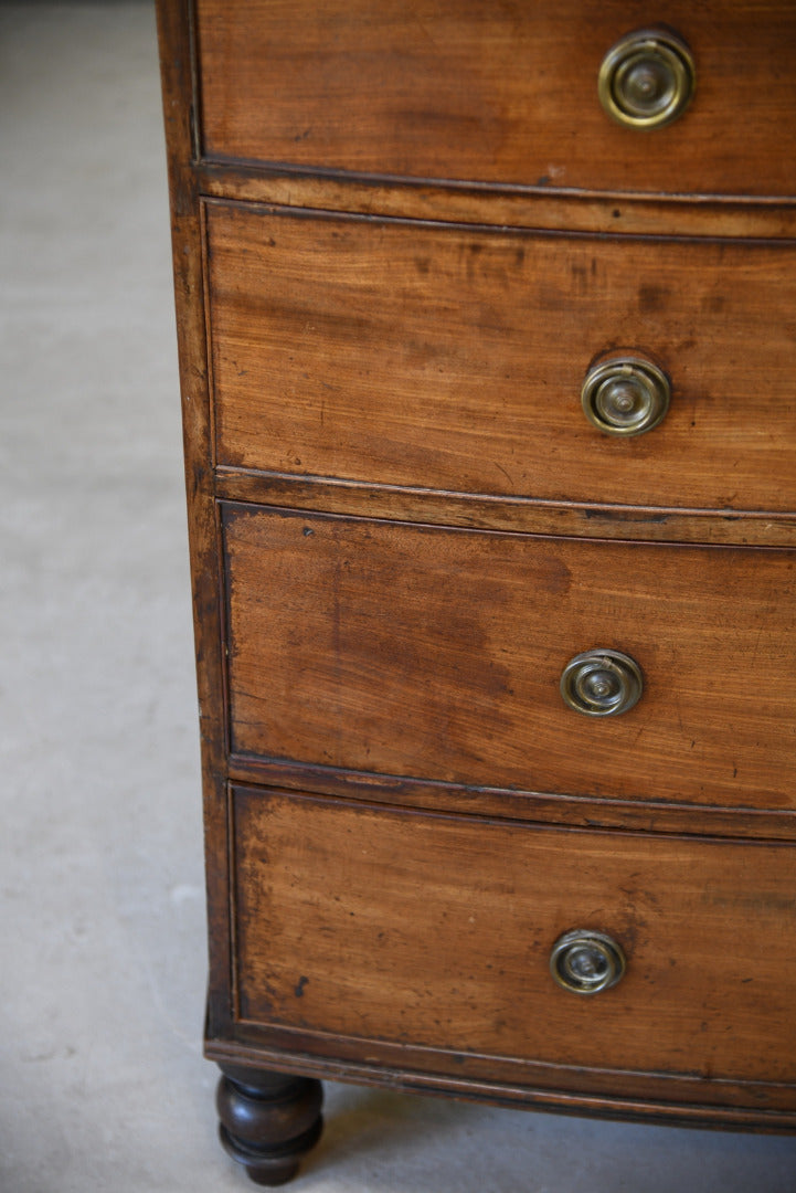 Antique Mahogany Bow Front Chest of Drawers - Kernow Furniture