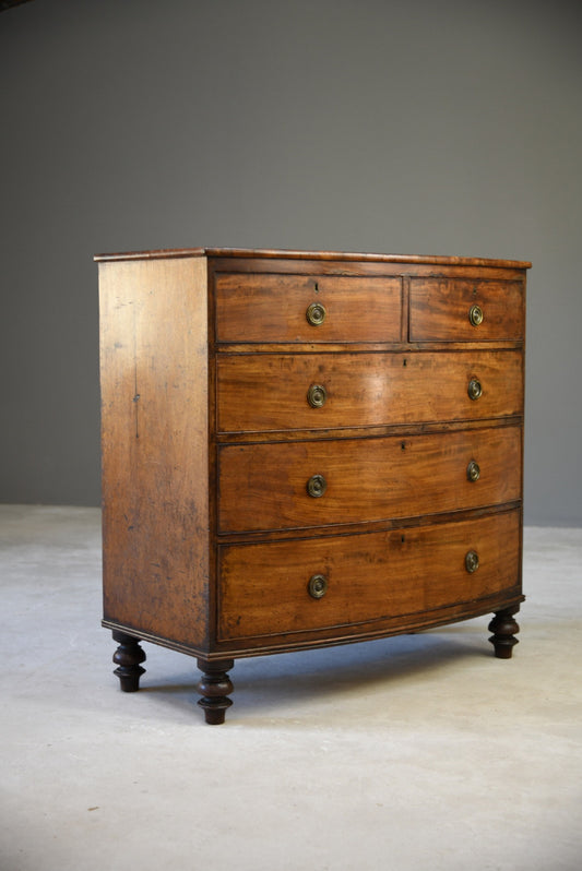 Antique Mahogany Bow Front Chest of Drawers - Kernow Furniture