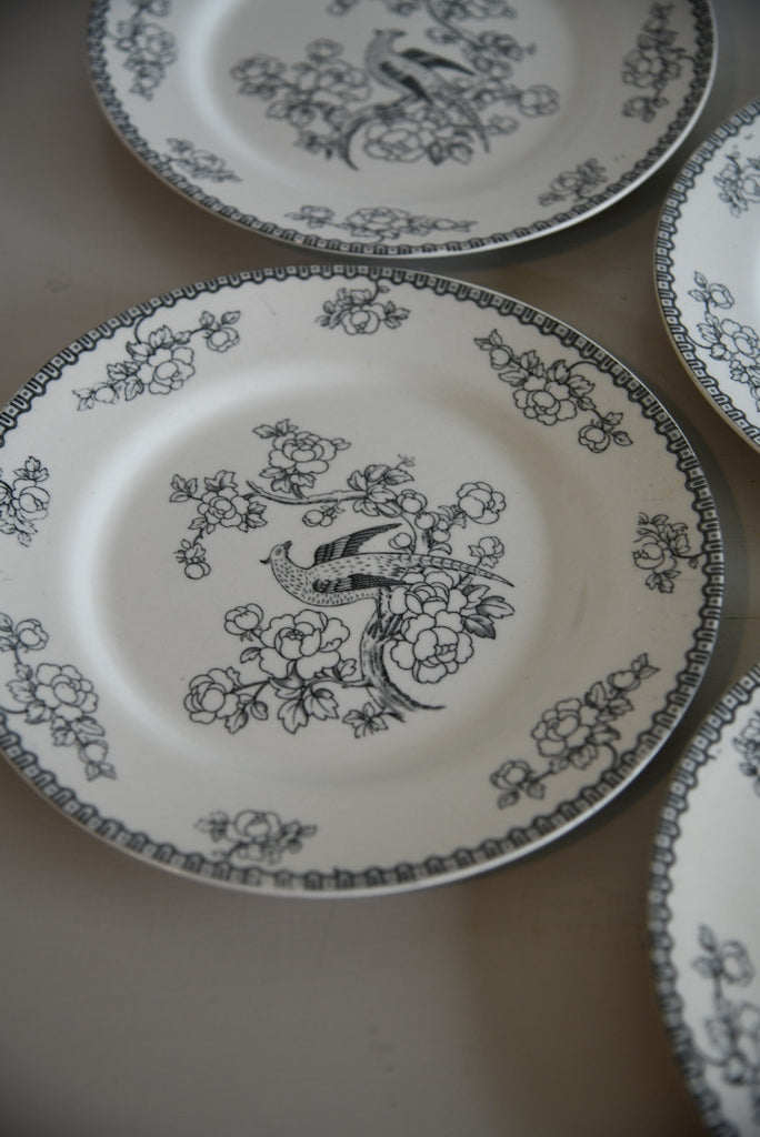 4 F Winkie & Co Grey Pheasant Dinner Plates - Kernow Furniture