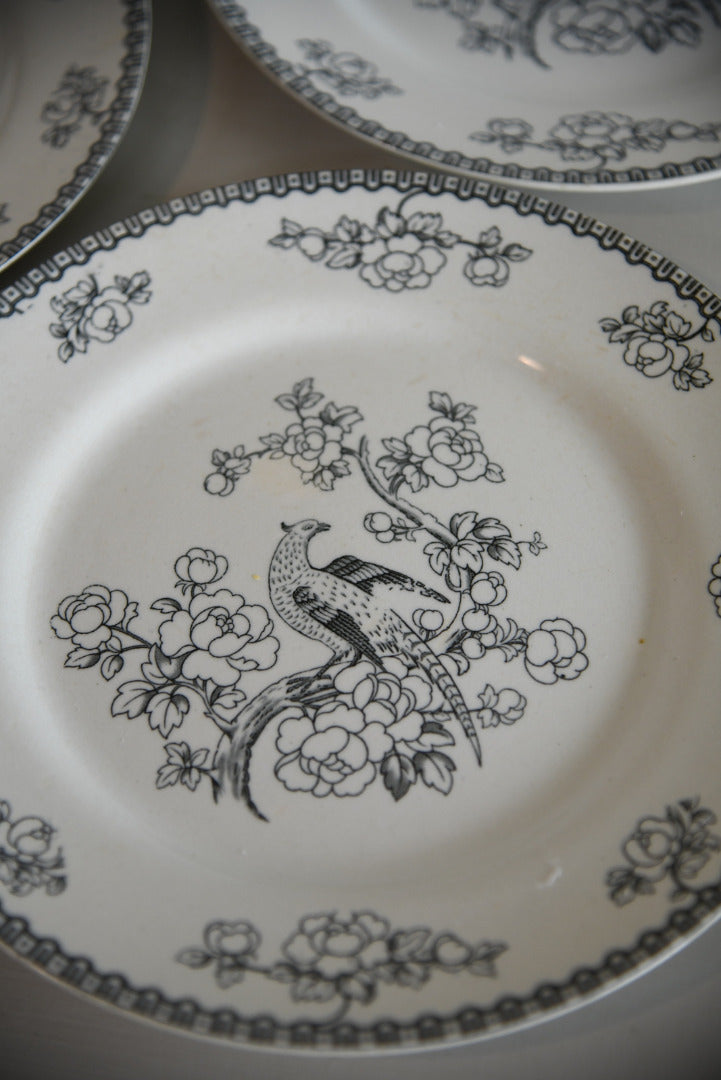 4 F Winkie & Co Grey Pheasant Dinner Plates - Kernow Furniture