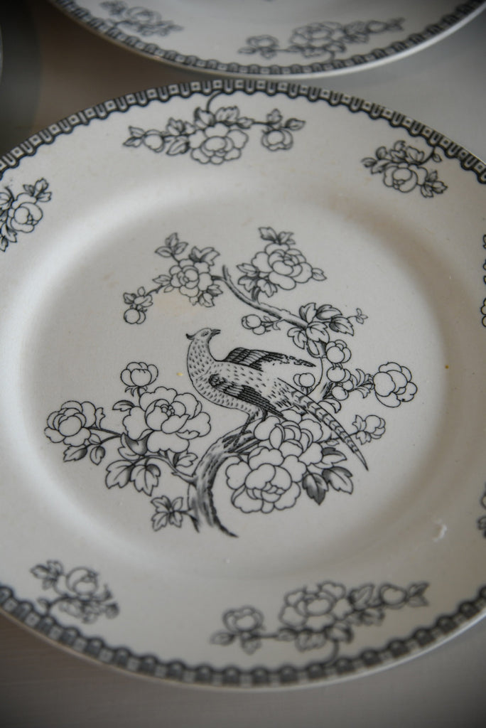 4 F Winkie & Co Grey Pheasant Dinner Plates - Kernow Furniture