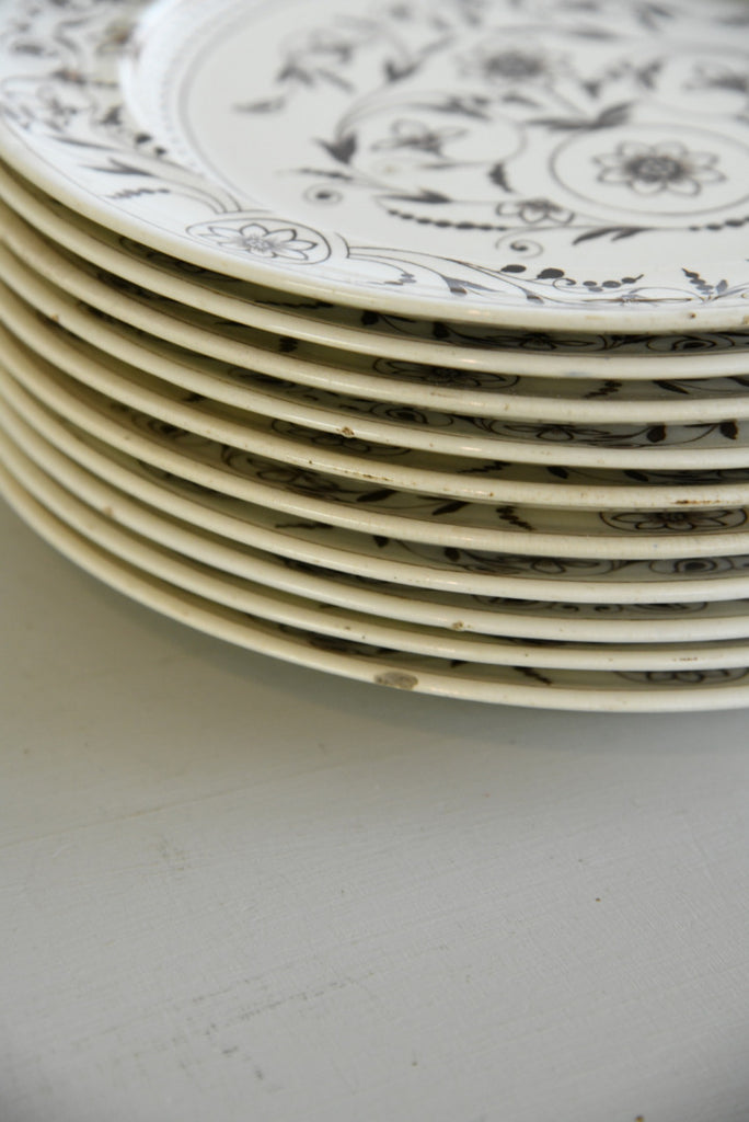 11 x T G F B Parisian Granite Scroll Dinner Plates - Kernow Furniture