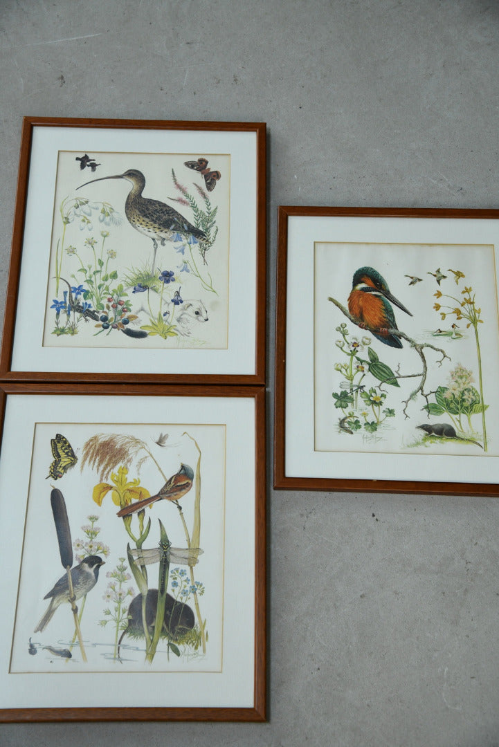 Marjorie Blamey Prints - Kernow Furniture