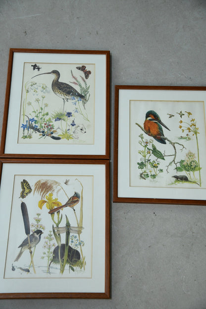 Marjorie Blamey Prints - Kernow Furniture