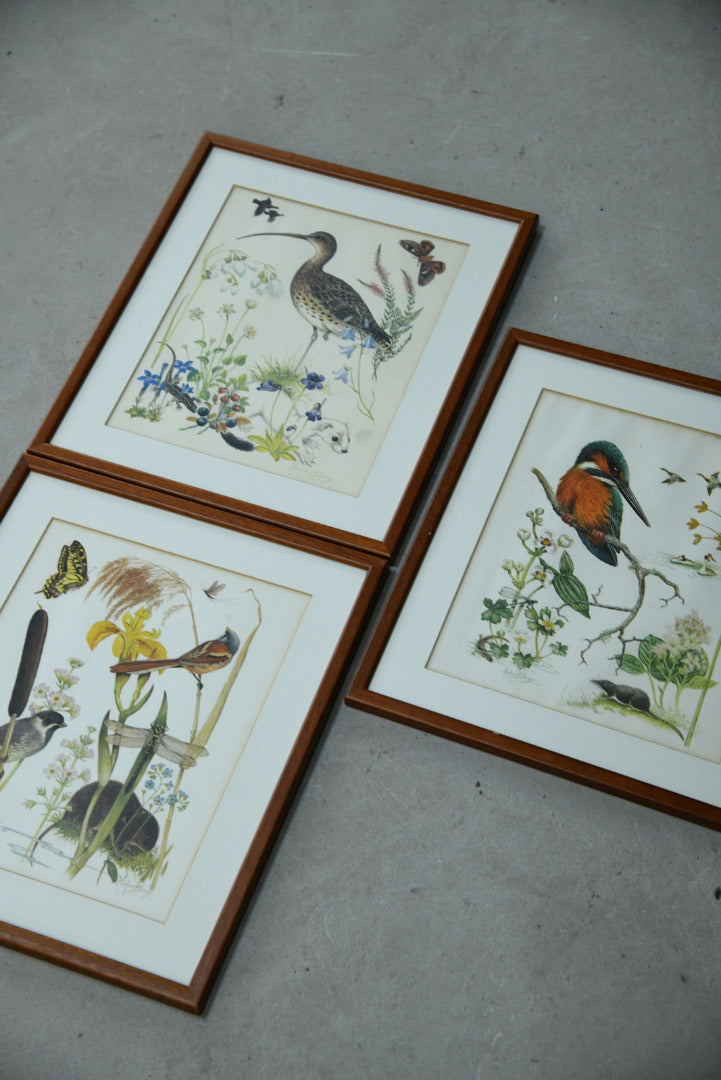 Marjorie Blamey Prints - Kernow Furniture