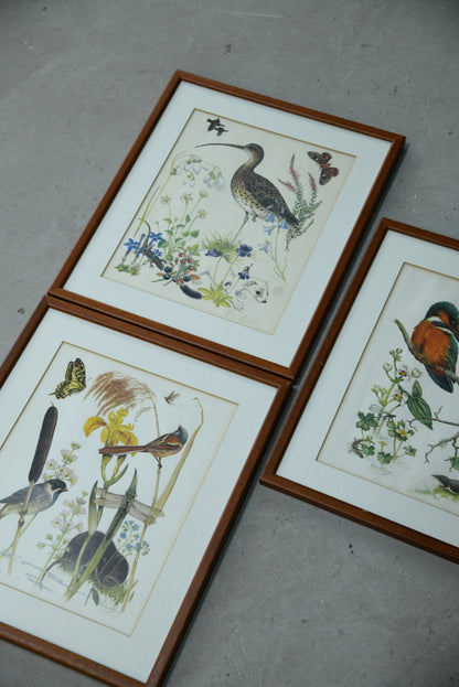 Marjorie Blamey Prints - Kernow Furniture