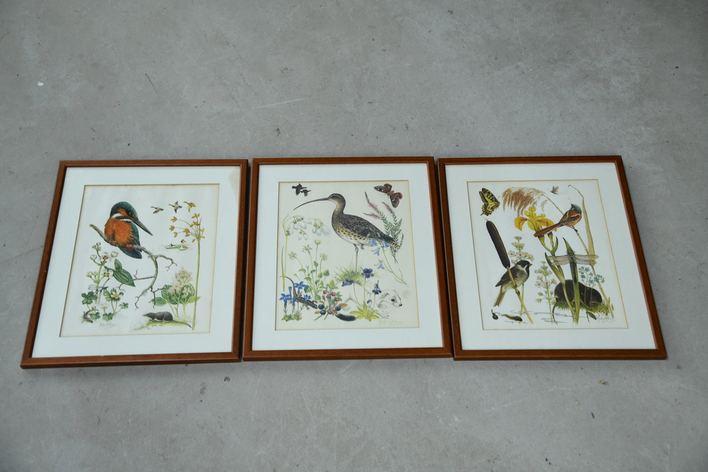 Marjorie Blamey Prints - Kernow Furniture