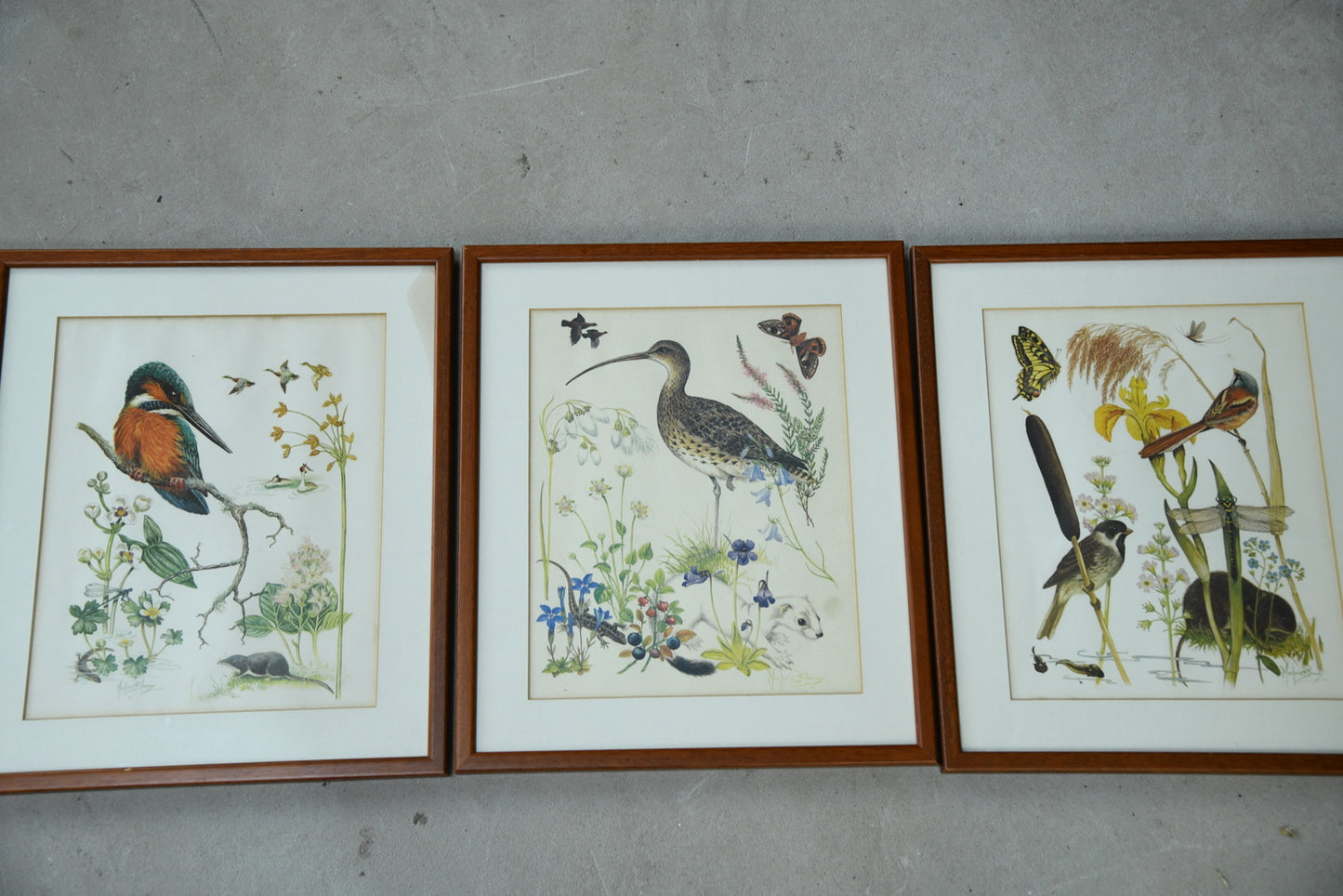 Marjorie Blamey Prints - Kernow Furniture