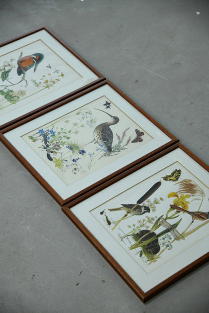 Marjorie Blamey Prints - Kernow Furniture