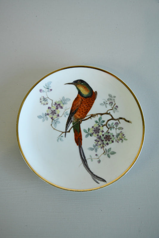 Thomas Bavaria Decorative Bird Plate - Kernow Furniture