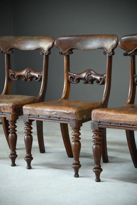 6 William IV Walnut Dining Chairs
