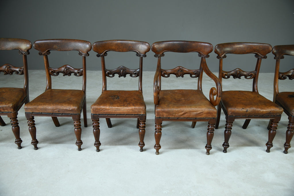 6 William IV Walnut Dining Chairs