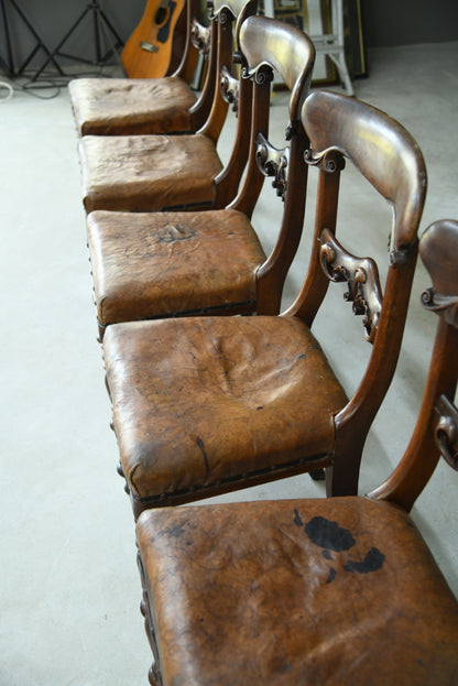 6 William IV Walnut Dining Chairs