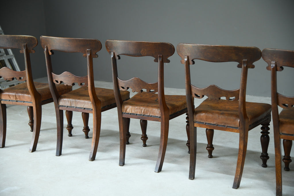 6 William IV Walnut Dining Chairs