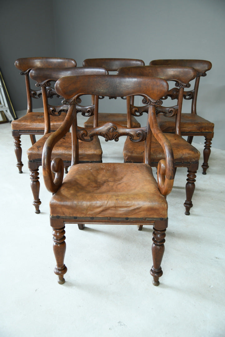 6 William IV Walnut Dining Chairs