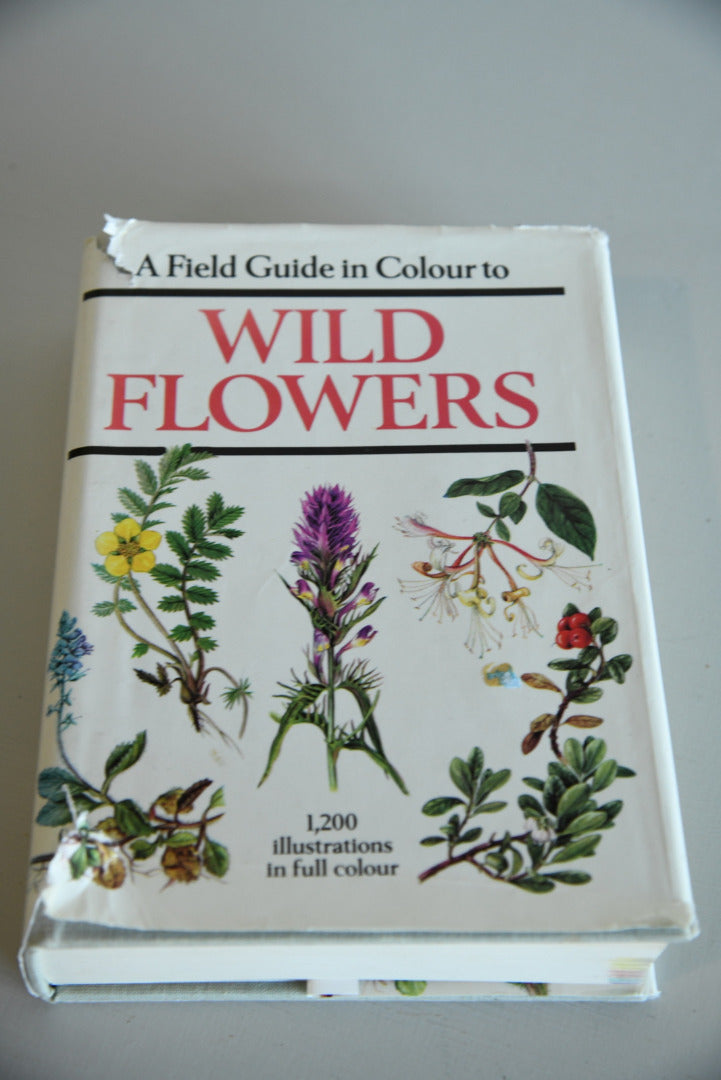 Wild Flower Books