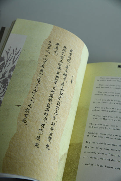 Illustrated Tao Te Ching - The New Translation